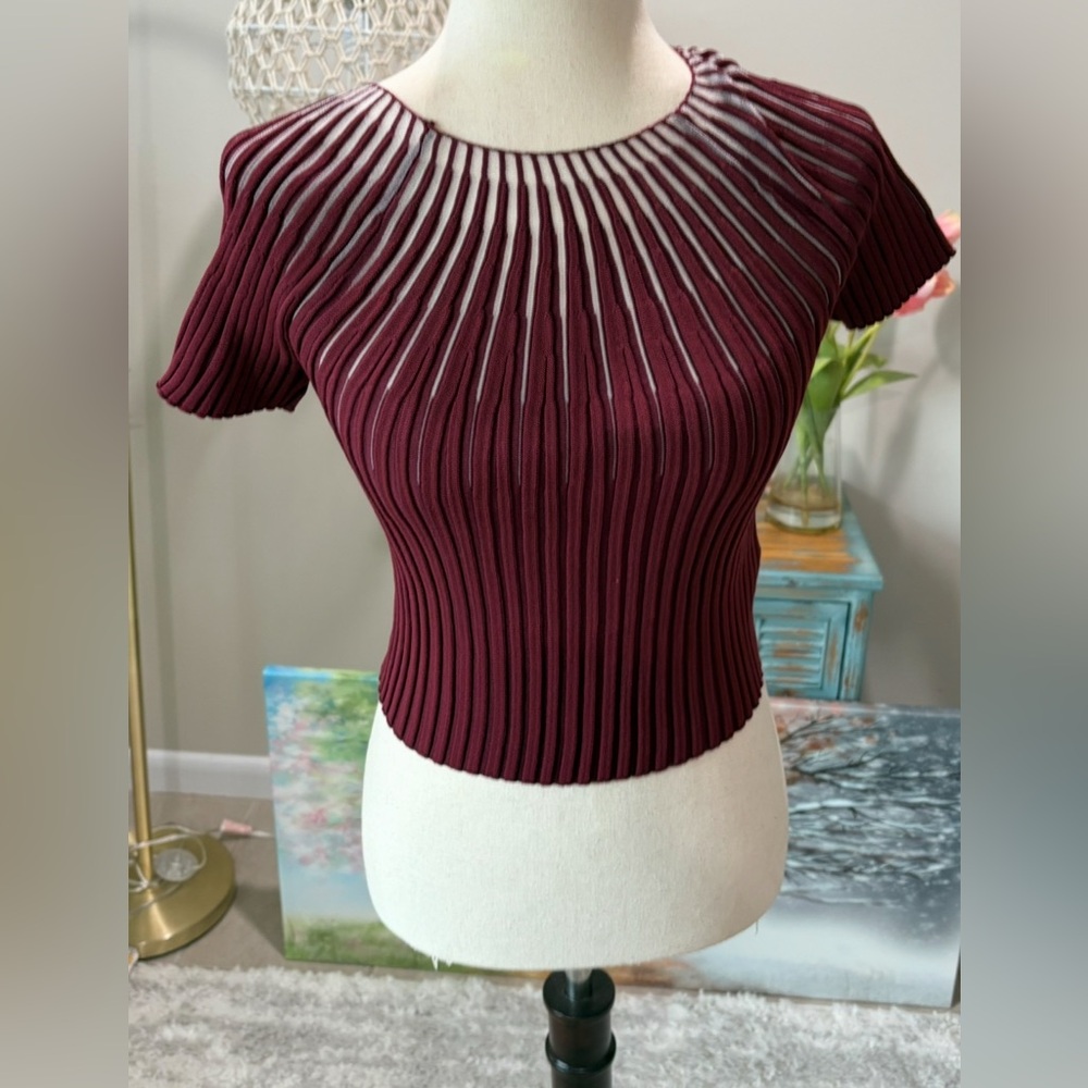 Red Ribbed Fitted Short Sleeve Blouse